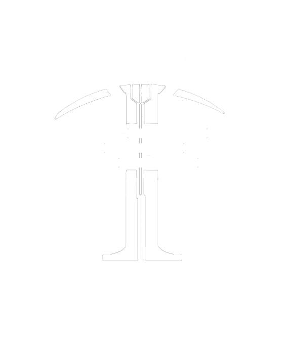 Taha Tariq logo