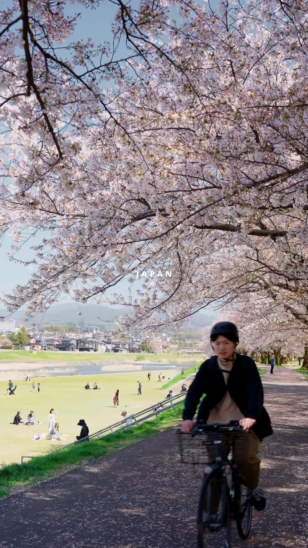 Japan highlight short video